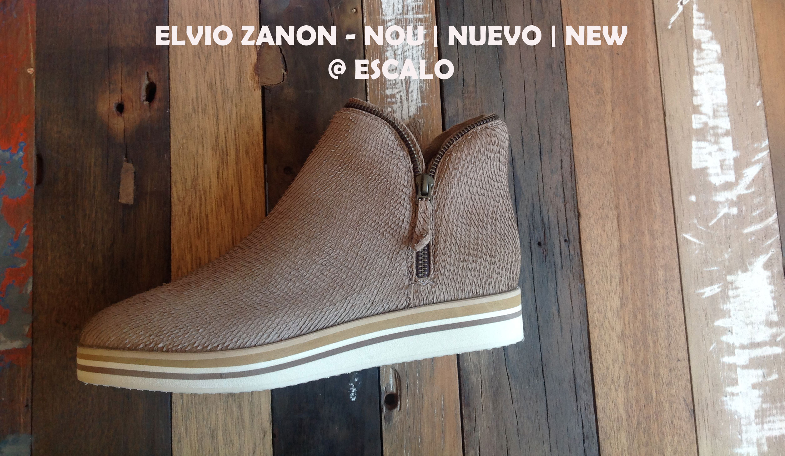 Zanon_Portada